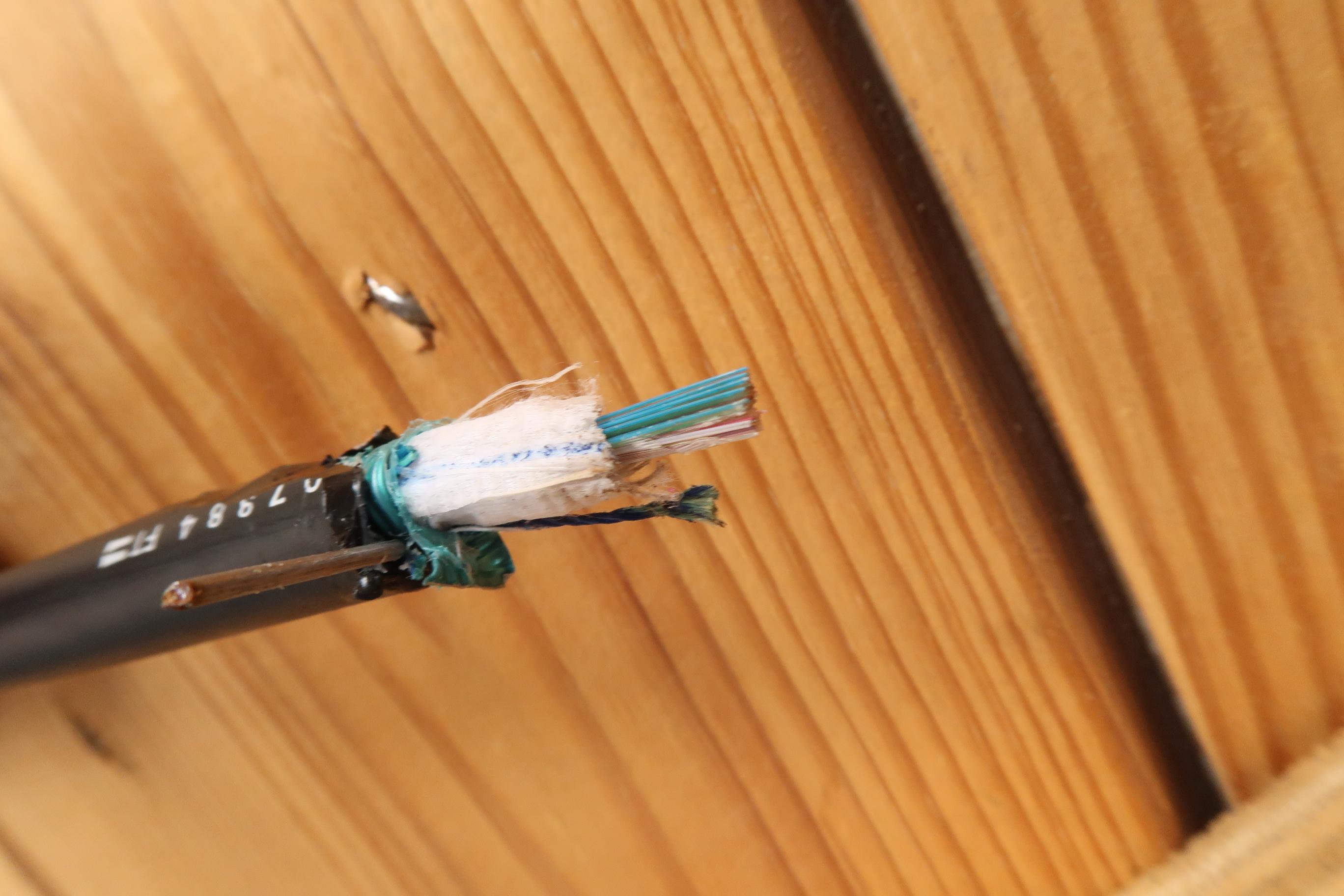 Commscope PureRibbon 1306067 DriTube Armored Ribbon Fiber Optic Cable